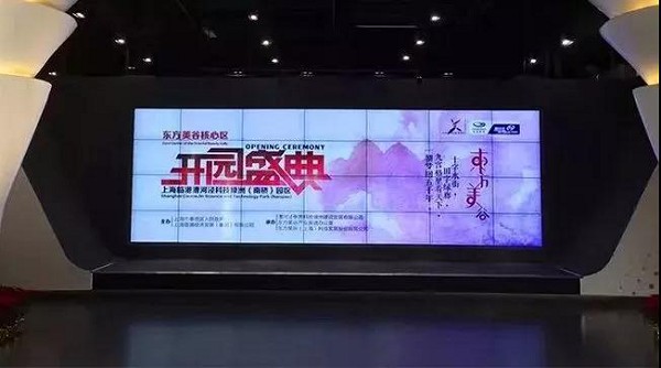 今天，全世界都在想方設(shè)法欺騙你；而我們始終如一
